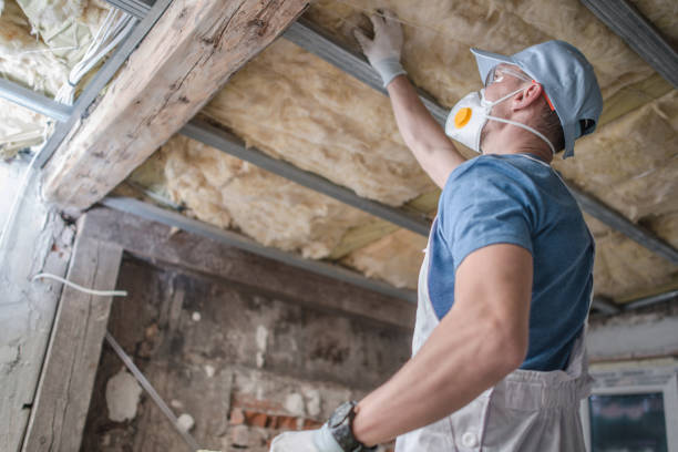 Trusted West Dundee, IL Insulation Contractor Experts