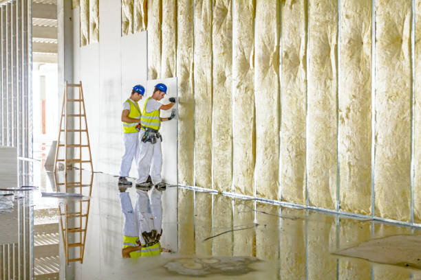 Best Specialized Insulation Services in West Dundee, IL